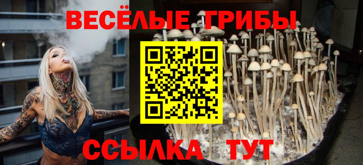 Псилоцибиновые грибы мухоморы  Вход с VPN  Галлюциногенные грибы Psilocybe  Джанкой 
